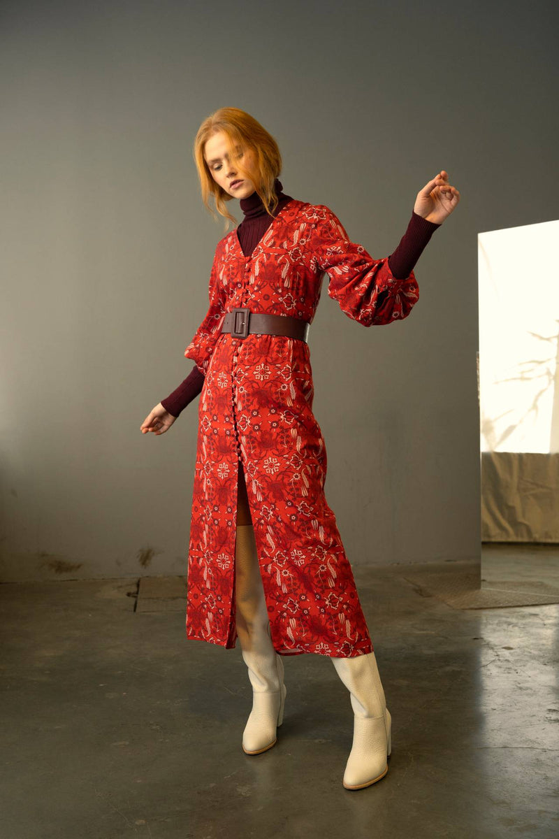Naisha Dress